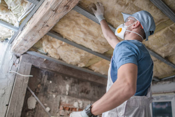 Best Insulation Maintenance and Repair in Wooster, AR