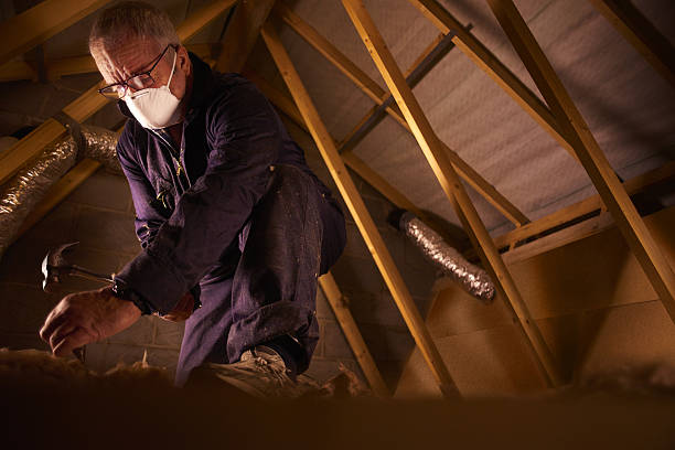 Best Commercial Insulation in Wooster, AR